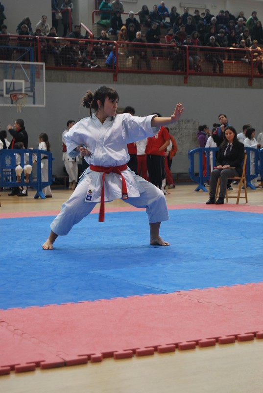 Pre-selecci&oacute;n S&eacute;nior de Kumite y Kata para el Nacional 2015